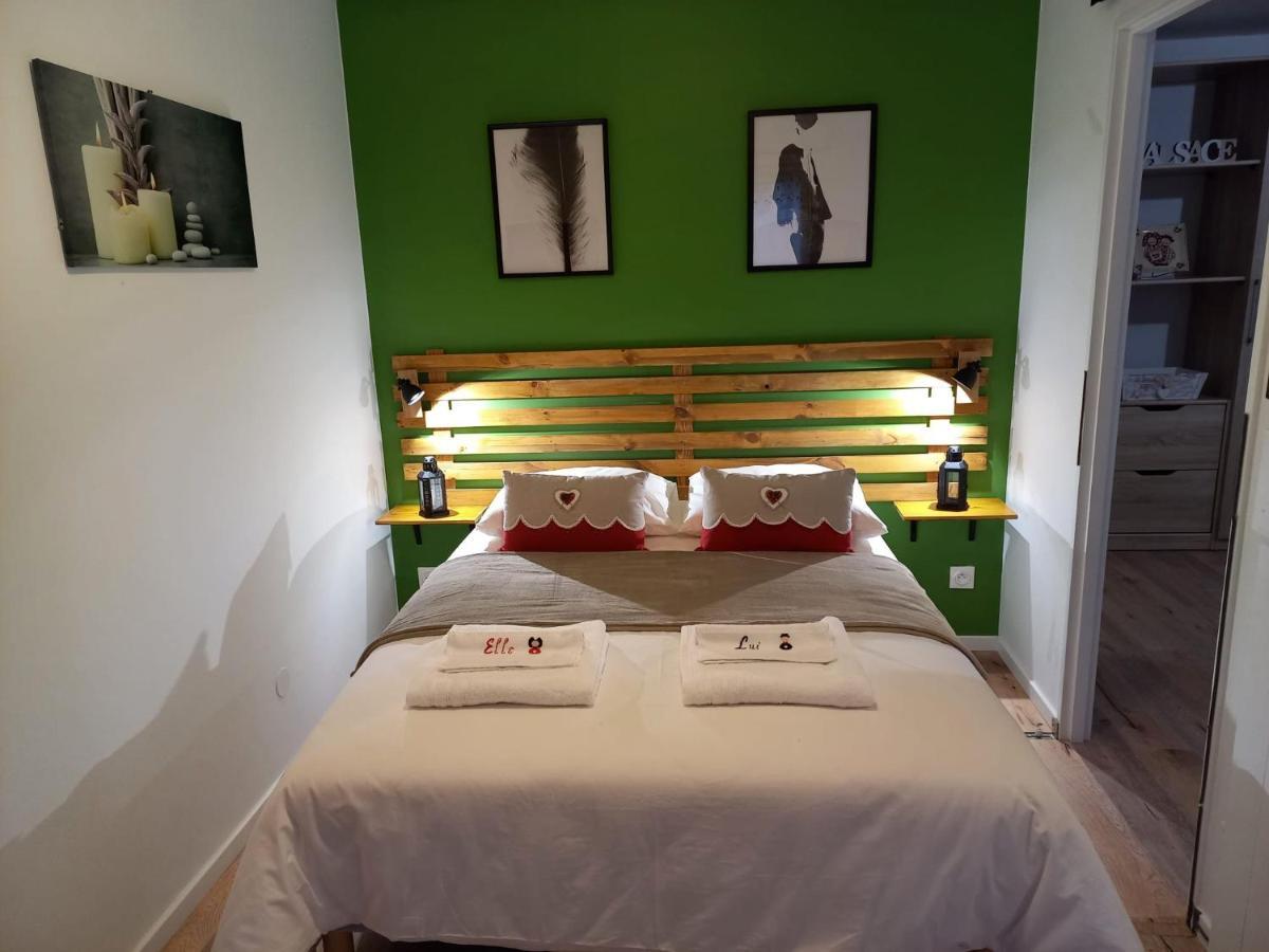 LE PASSAGE gîte cocooning à Colmar centre touristique Esterno foto