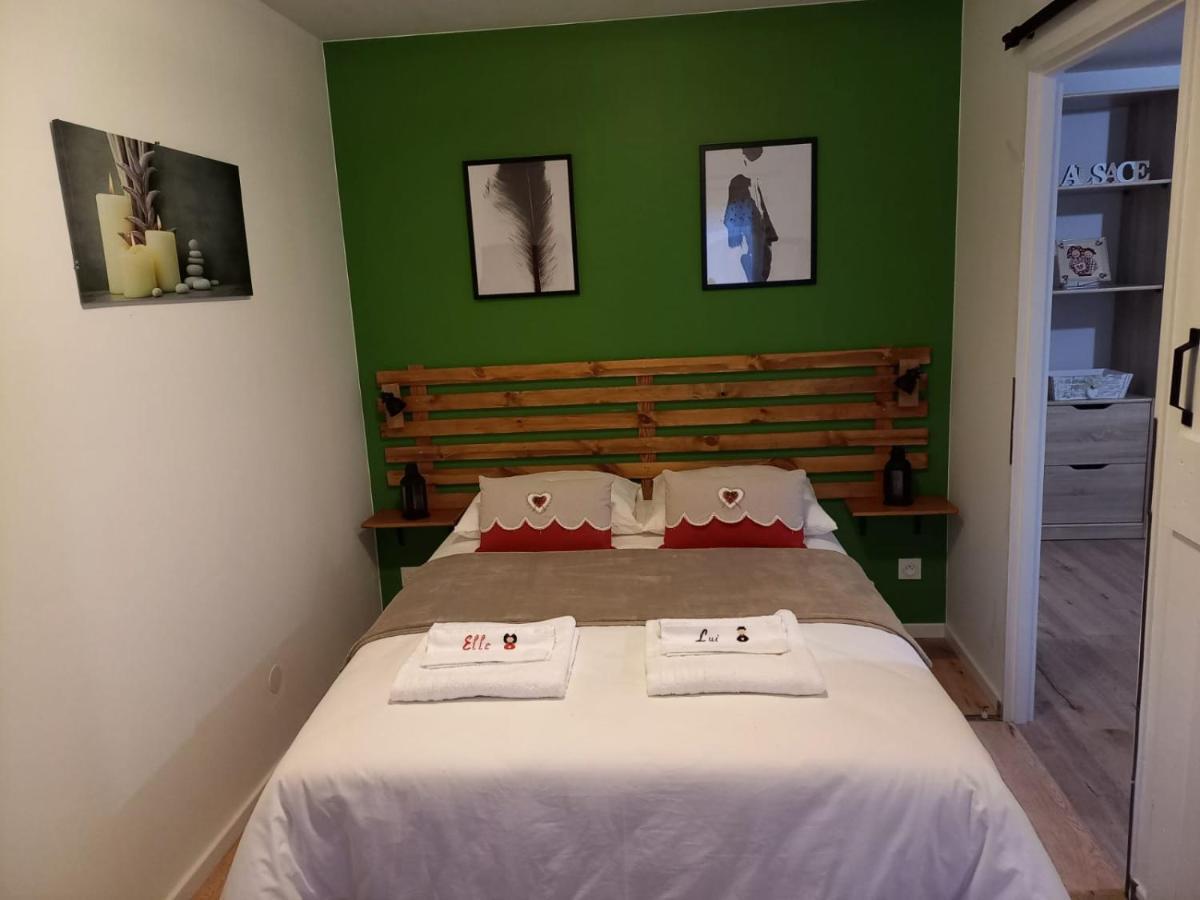 LE PASSAGE gîte cocooning à Colmar centre touristique Esterno foto